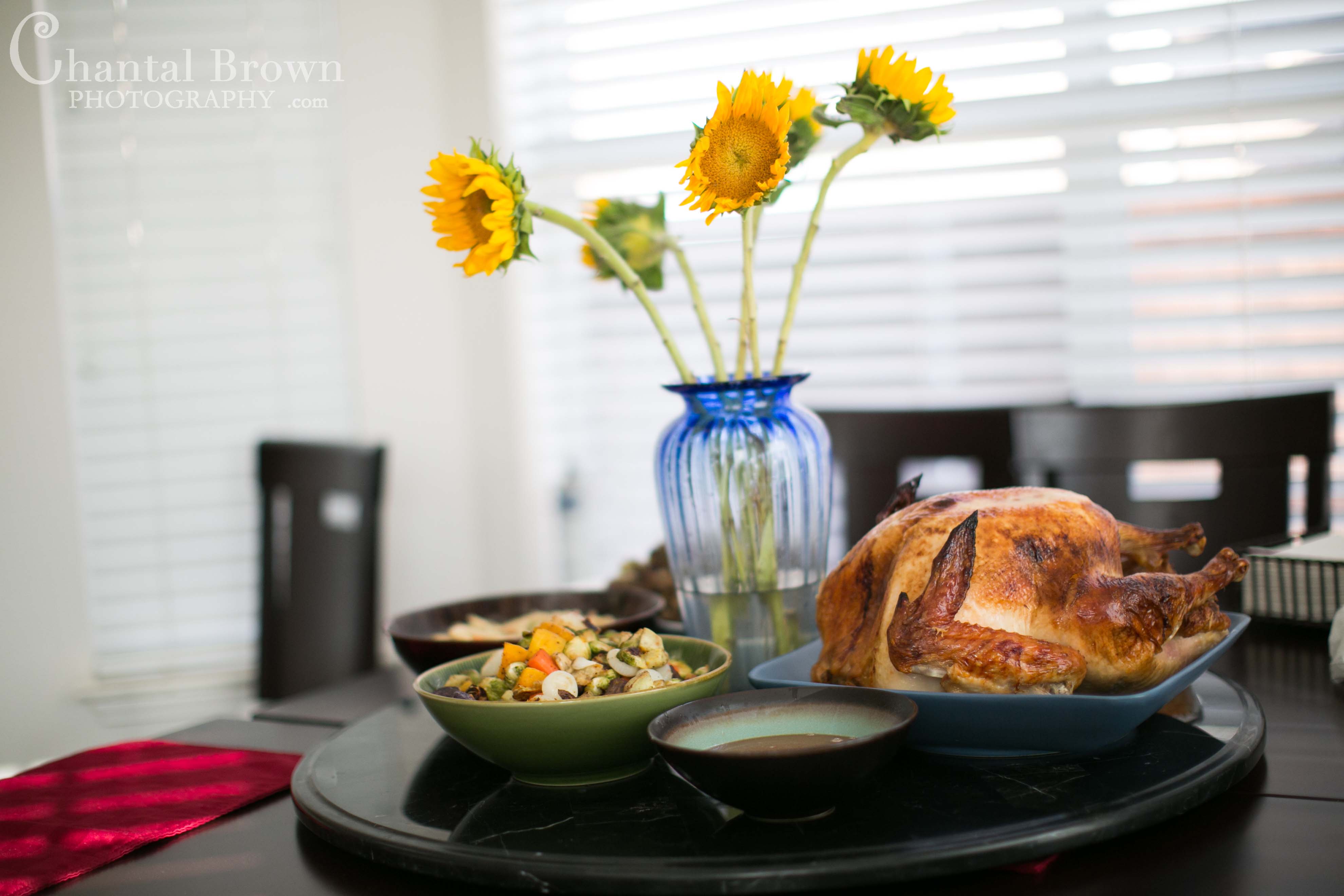 Thanksgiving dinner in Murphy portrait photographer
